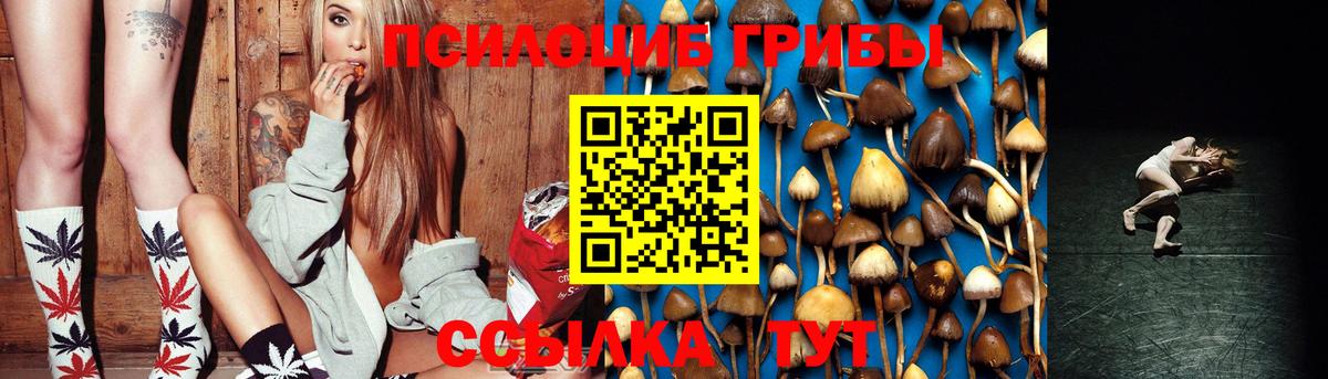 Галлюциногенные грибы Magic Shrooms Бугуруслан